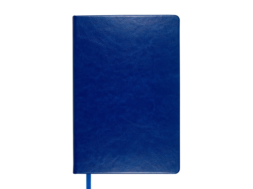 Ежедневник недатированный А5 Megapolis Nebraska, ярко-синий с серебристым обрезом-1