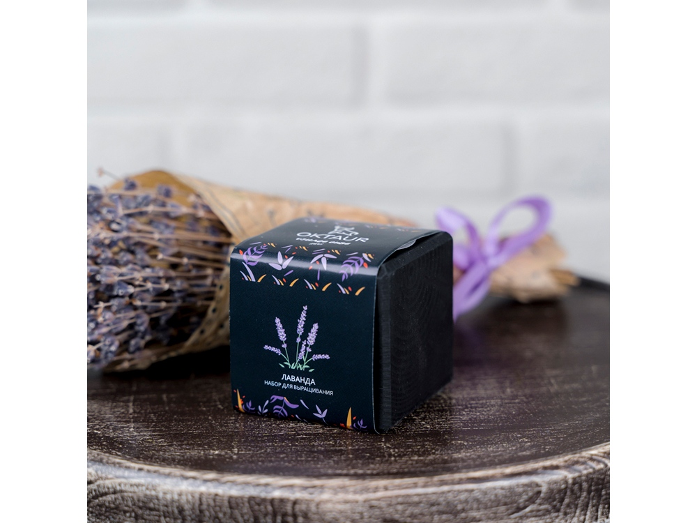 Набор для выращивания Small village cube Лаванда-2