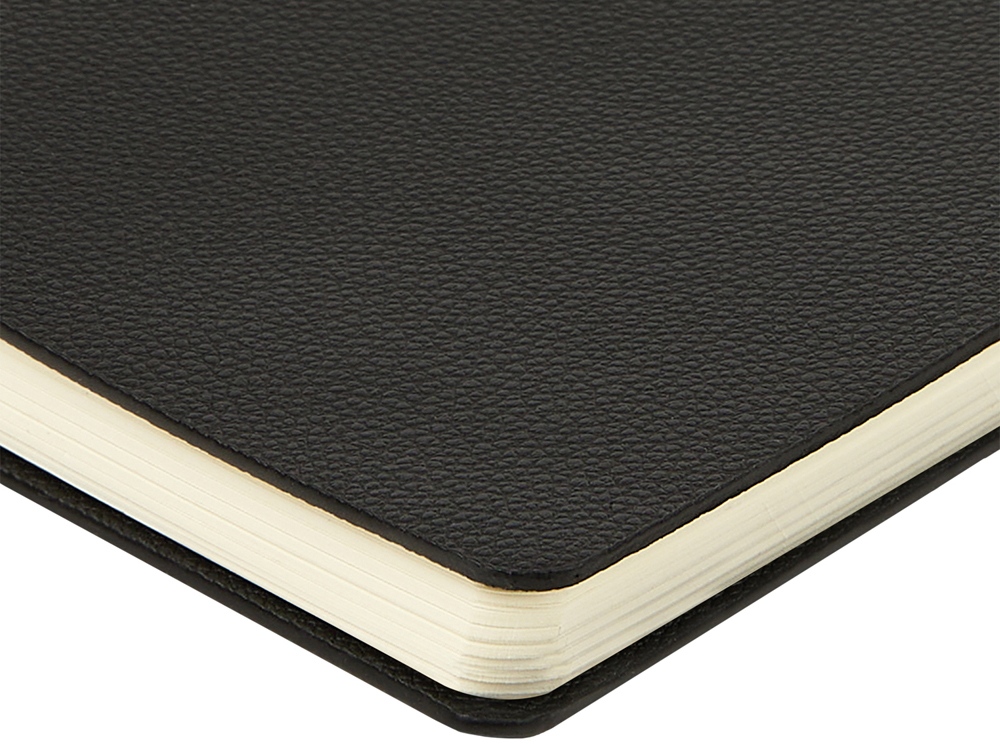 Ежедневник недатированный А5 Alba, черный-5