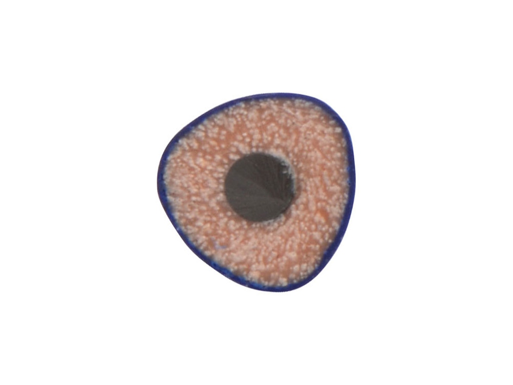 Трехгранный карандаш Conti из переработанных контейнеров, синий-1