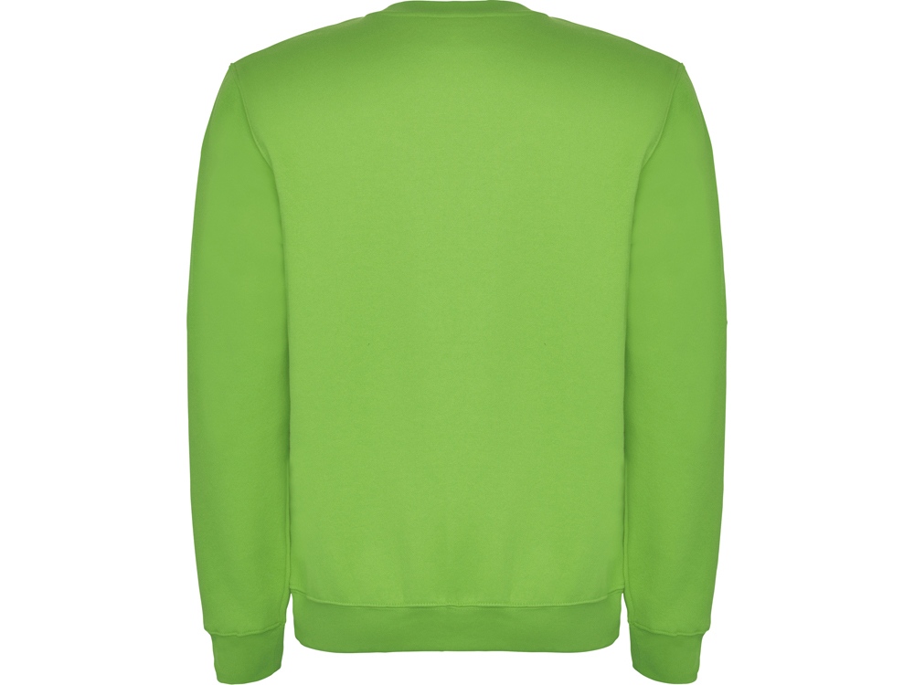Свитшот с начесом Clasica унисекс, зеленое яблоко-1