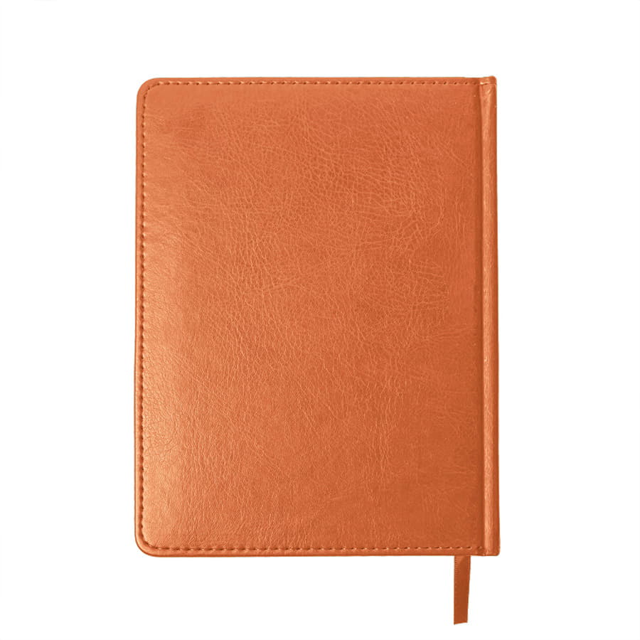 Ежедневник недатированный Joy, формат А5, в линейку, оранжевый-2