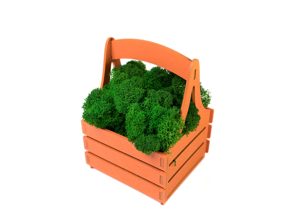 Композиция Корзинка со мхом, оранжевый-3