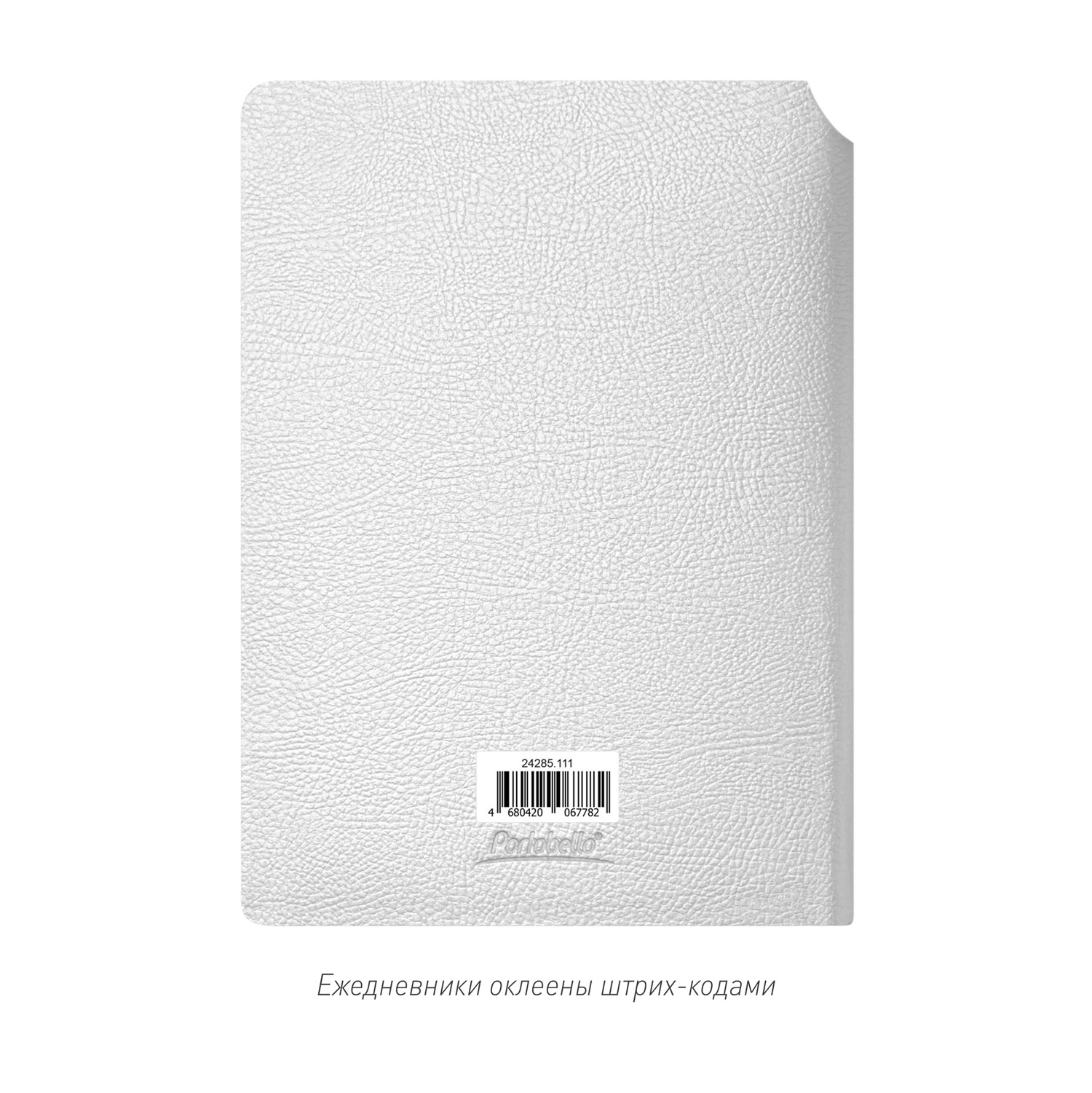 Ежедневник Molto недатированный, серебряный-14