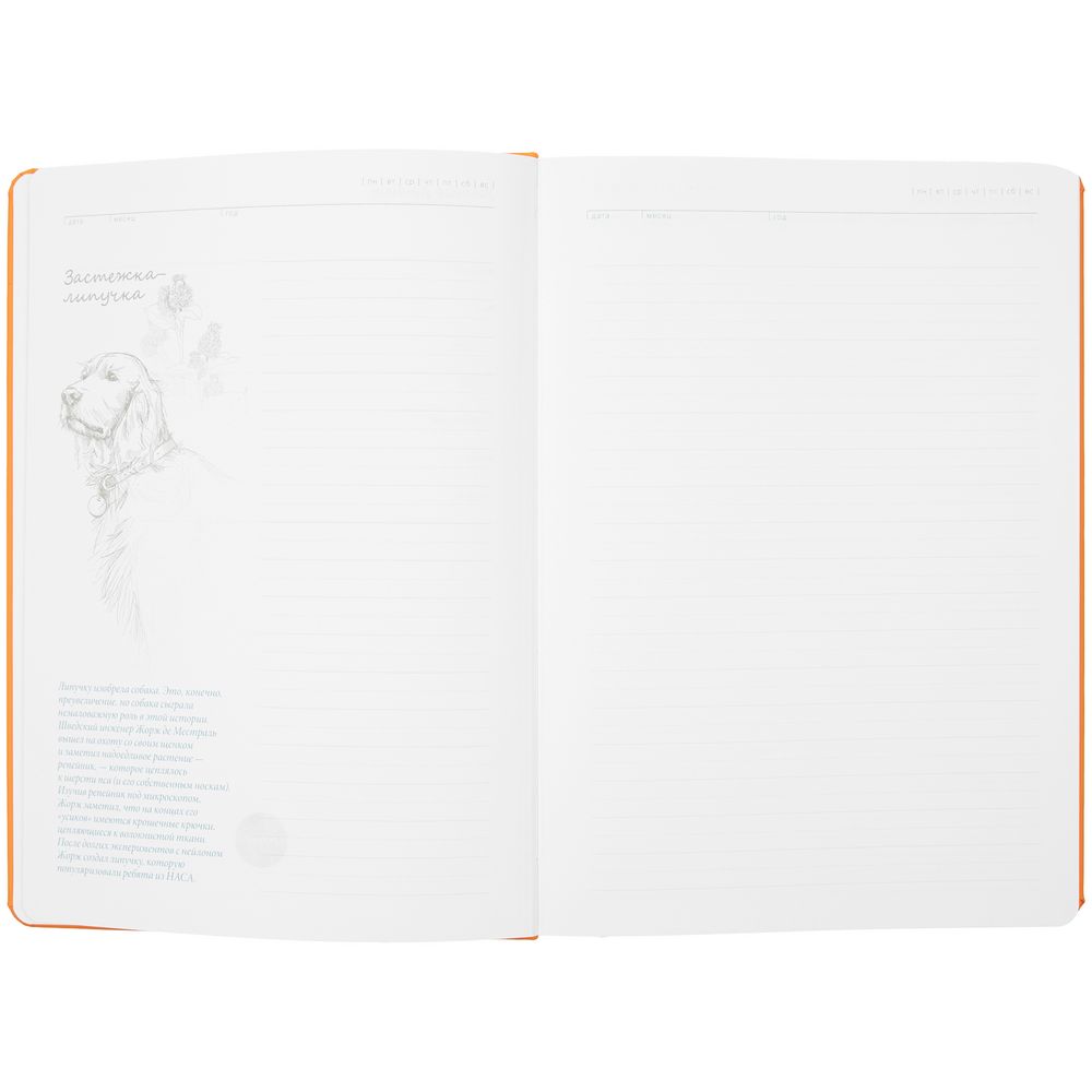 Ежедневник «История изобретений», недатированный, оранжевый-3