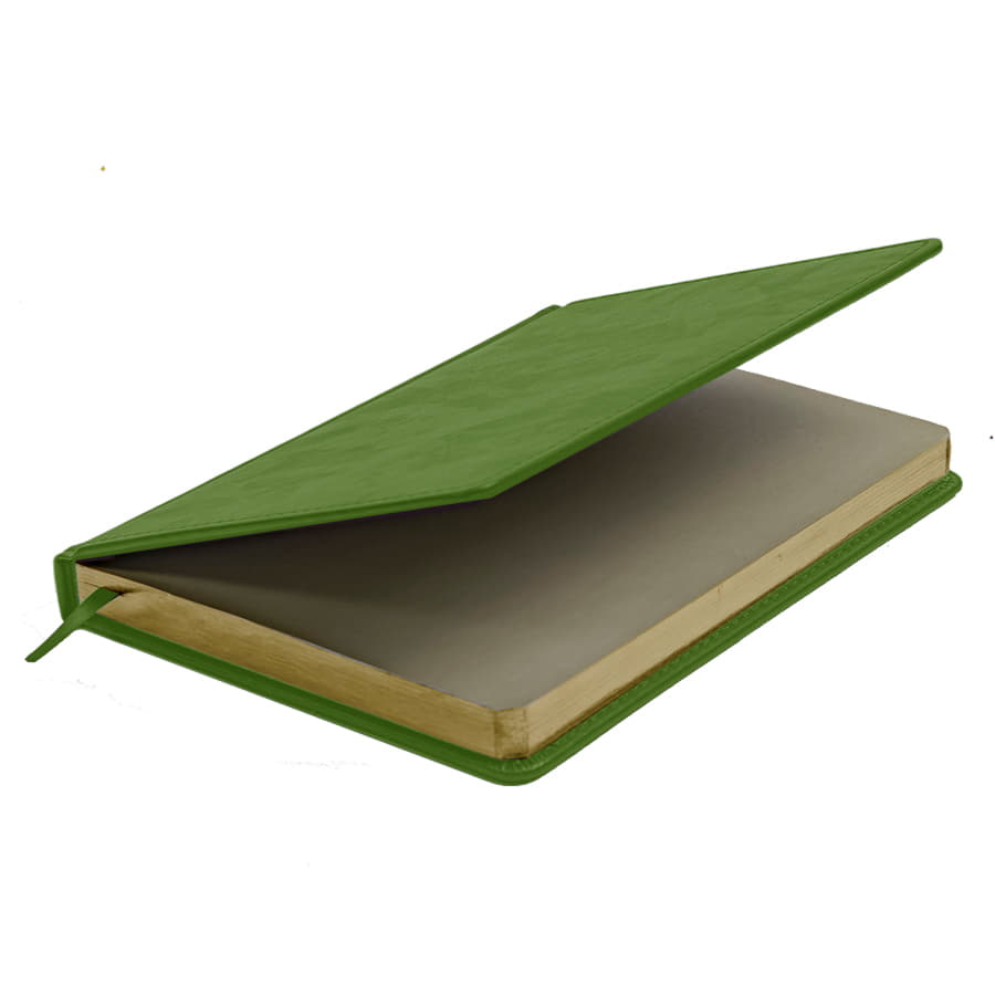 Ежедневник недатированный Joy, формат А5, в линейку, зеленое яблоко-4