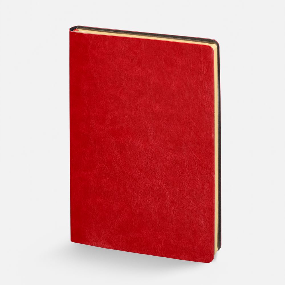 Ежедневник Nebraska Flex, недатированный, красный с золотистым-1