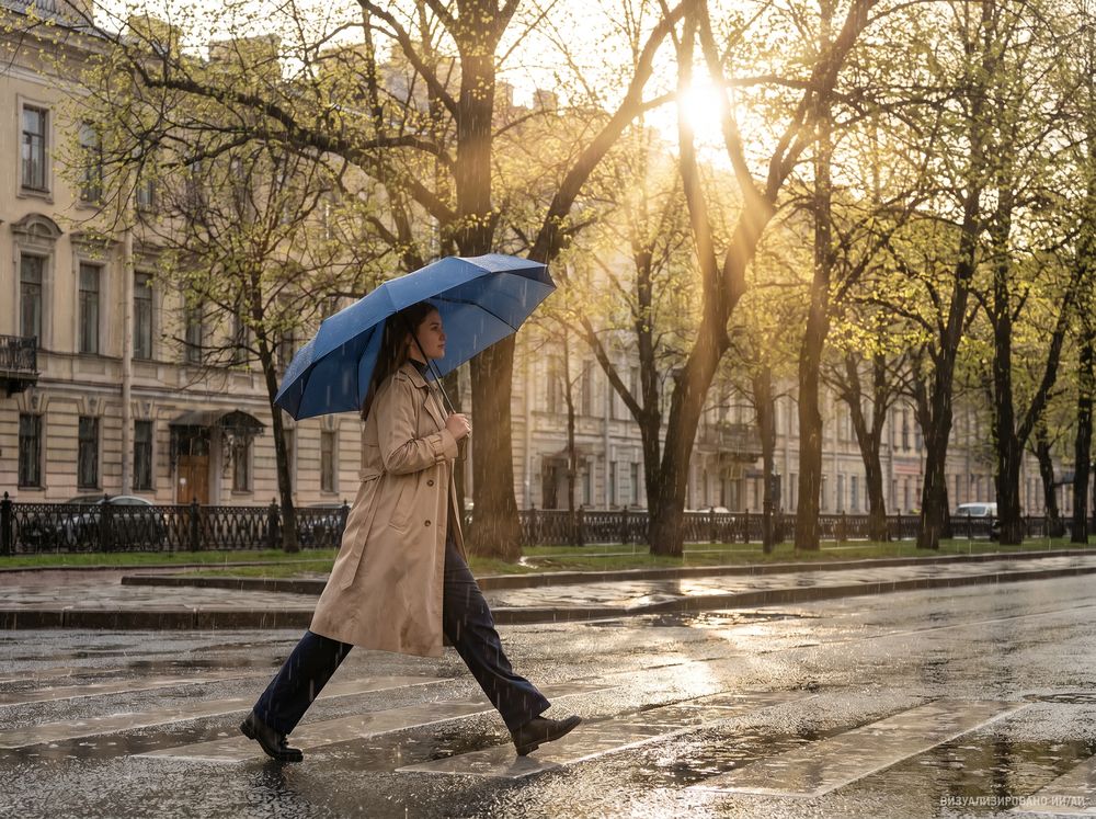 Зонт складной Regenfall, темно-синий-4
