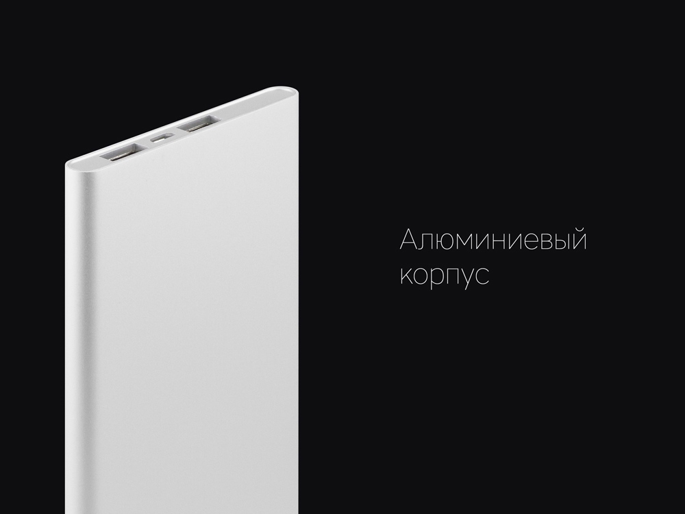 Внешний аккумулятор Rombica NEO AX100L, 10 000 мАч, алюминий, серебристый, чехол-9