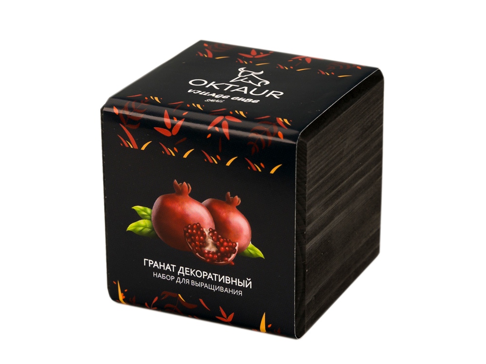 Набор для выращивания Small village cube Гранат комнатный-0
