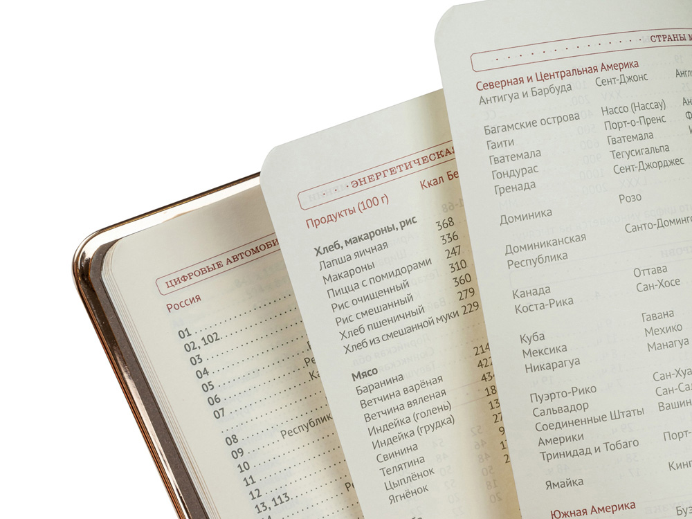 Ежедневник А5 недатированный Chelsea, коричневый (золотистый кант и срез)-2