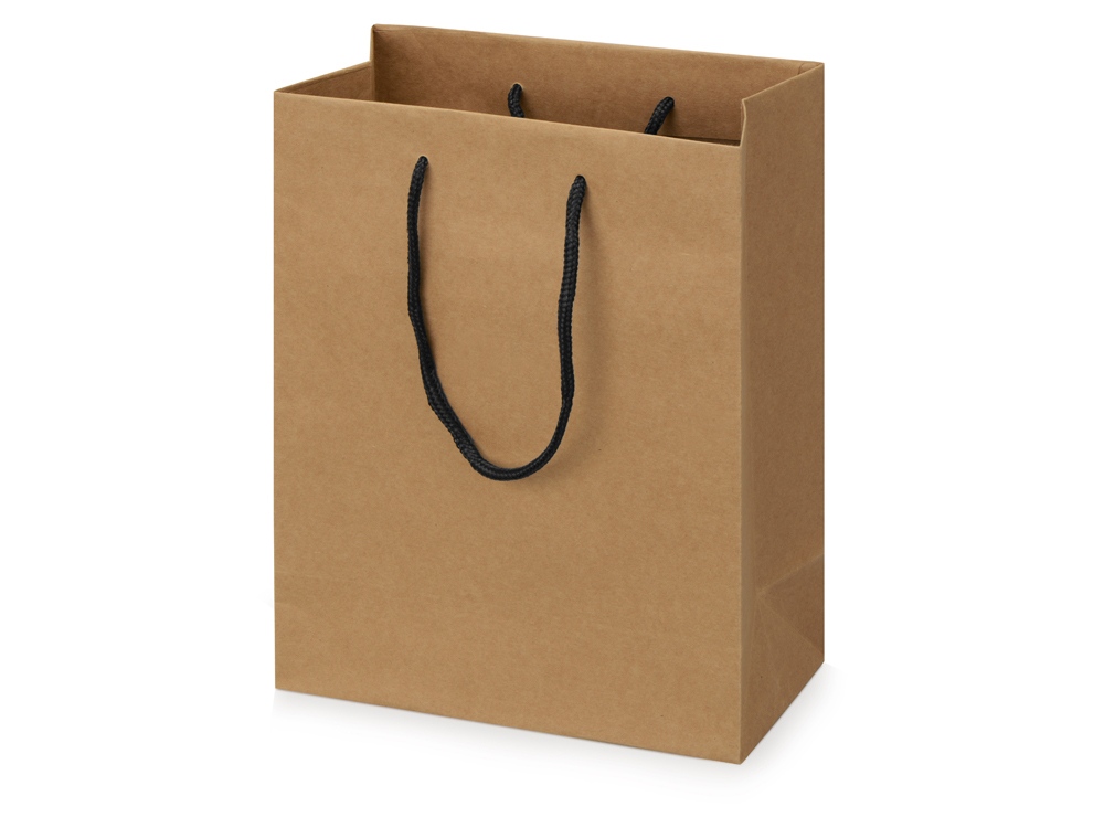Пакет подарочный Kraft S, 23x30x12 см-0