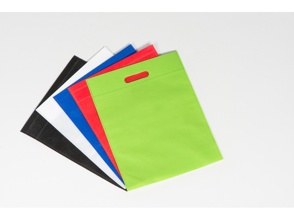 Сумка для выставок Prime, черный-3