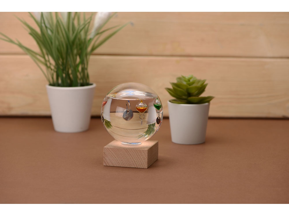 Термометр Galileo-4