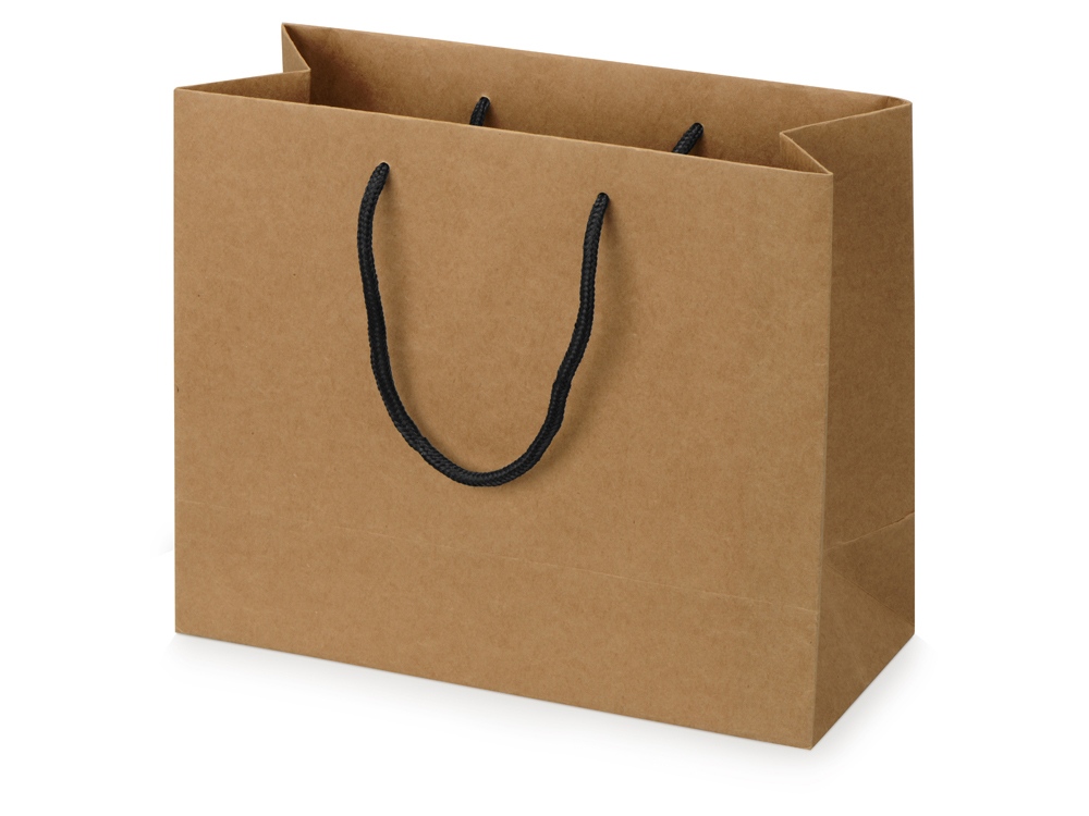 Пакет подарочный Kraft M, 30x25x12 см-0