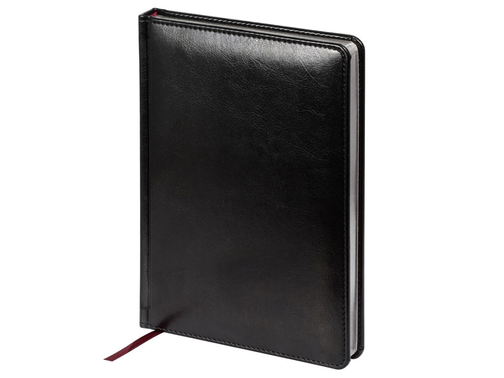 Ежедневник недатированный А5 Sidney Nebraska, черный (серебряный обрез)-0