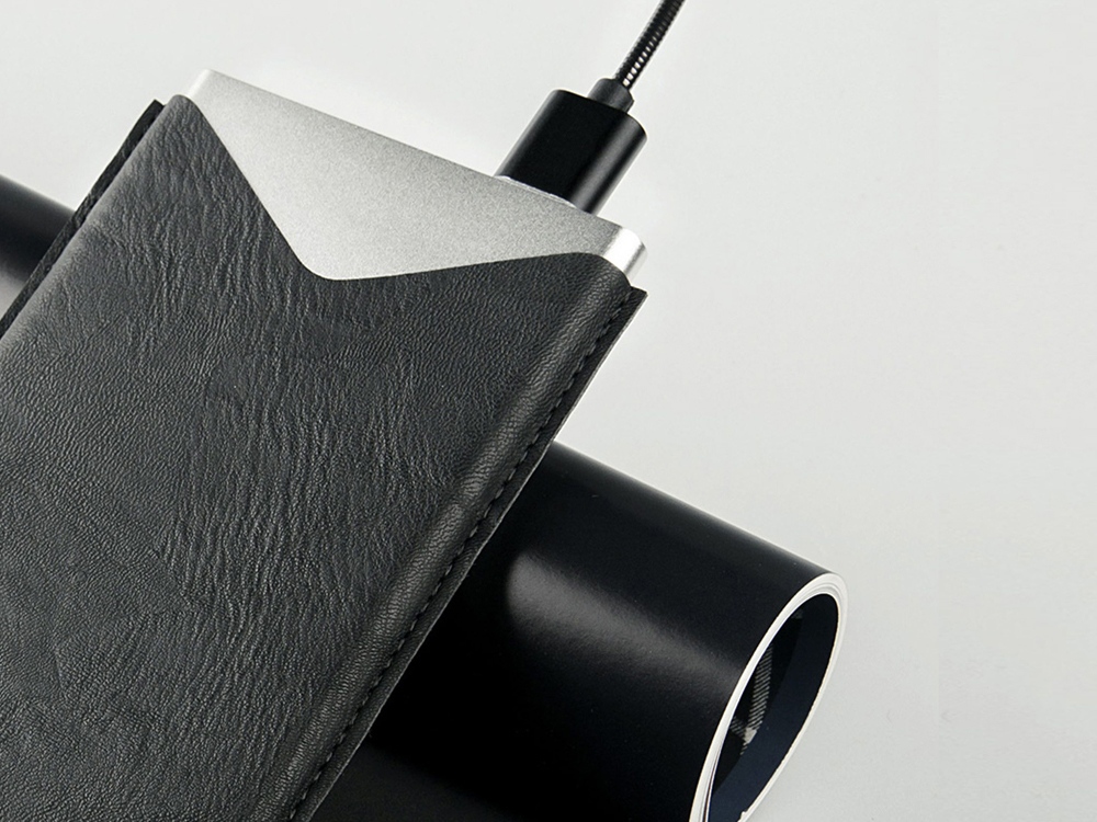 Внешний аккумулятор Rombica NEO AX100L, 10 000 мАч, алюминий, серебристый, чехол-11