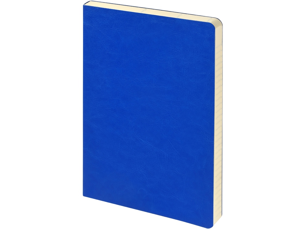 Ежедневник недатированный А5 Megapolis Nebraska Flex, ярко-синий-0
