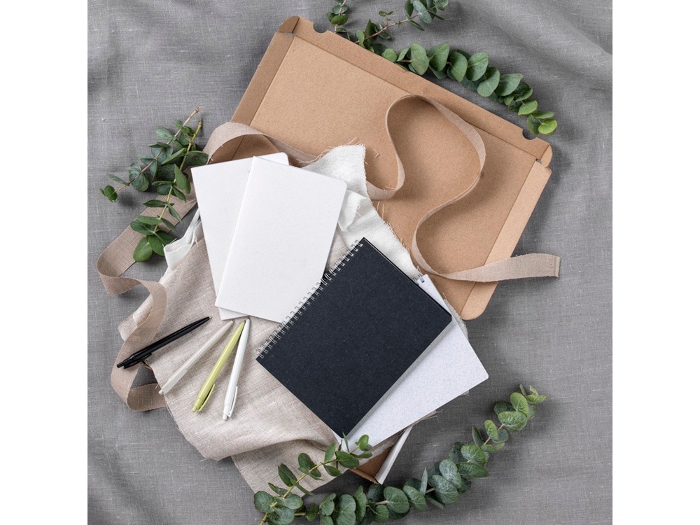 Шариковая ручка Alessio из переработанного ПЭТ, белый, синие чернила-2