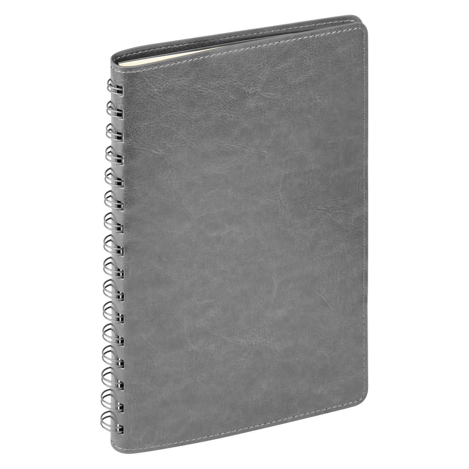 Ежедневник Vista Neo недатированный, серый-4