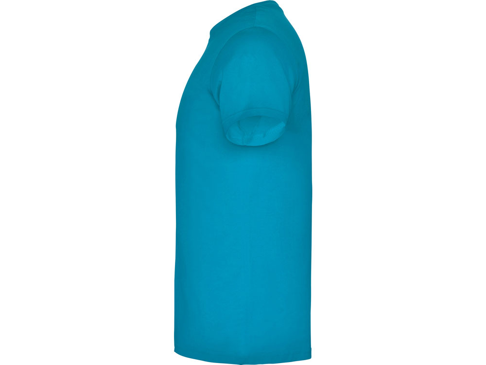 Футболка Beagle мужская, лазурный-2