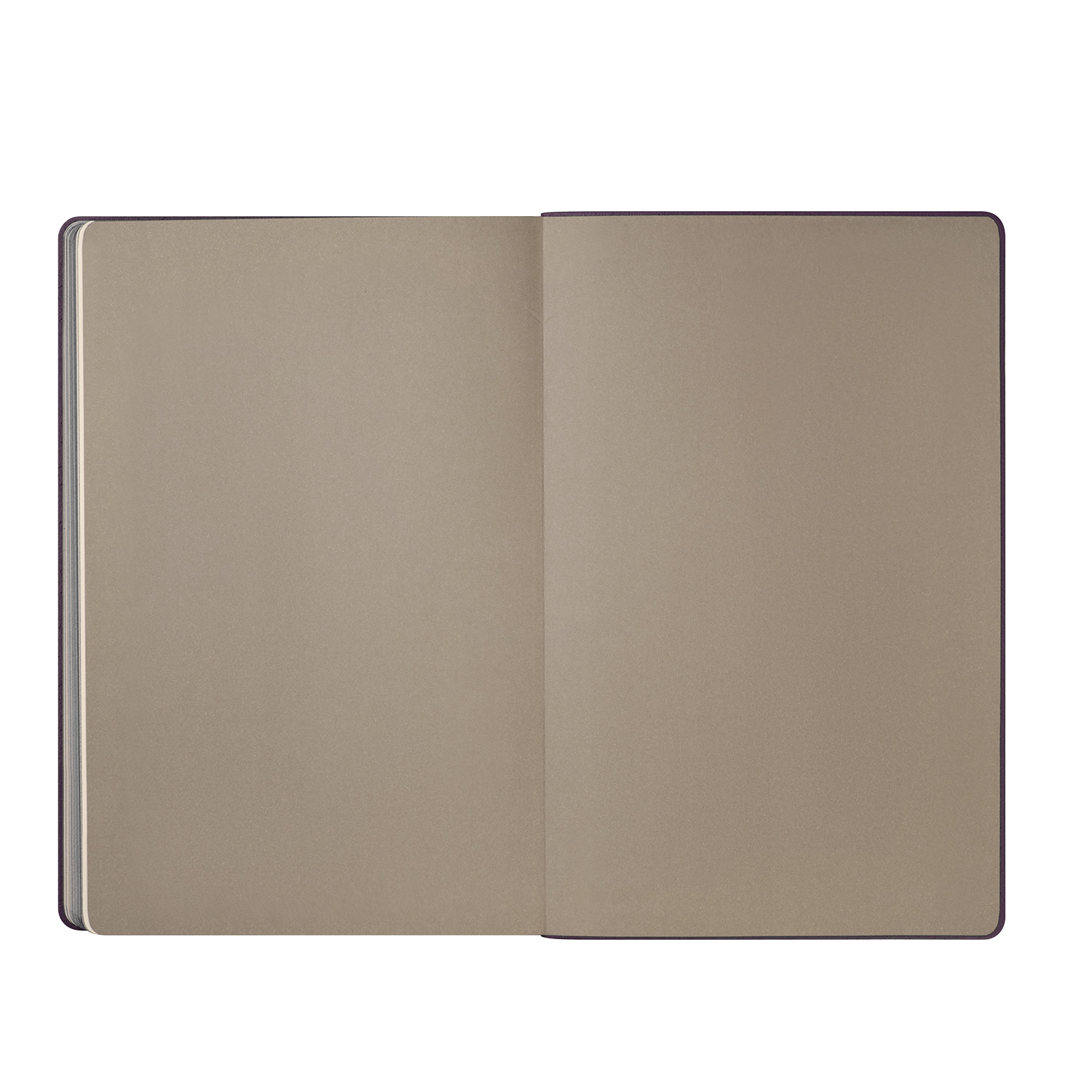 Ежедневник Rain недатированный, фиолетовый (без упаковки, без стикера)-9