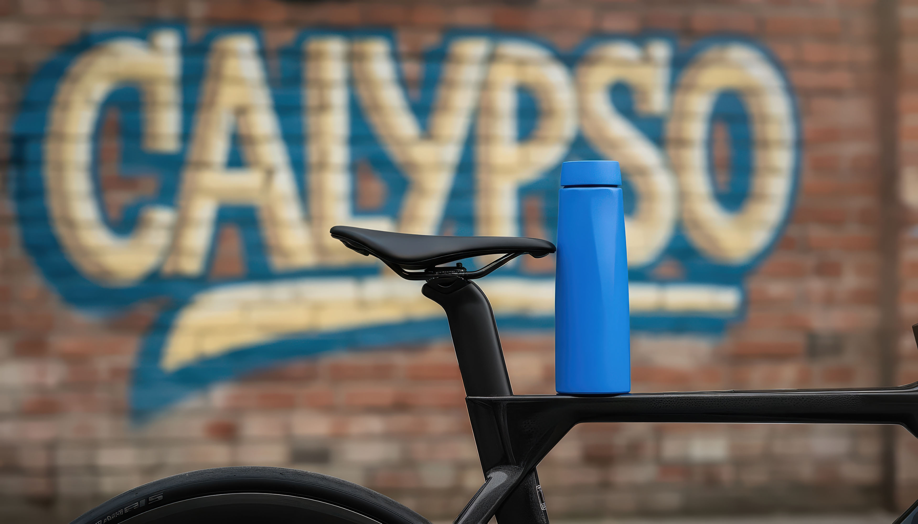 Бутылка для воды "Calypso" 650 мл-2