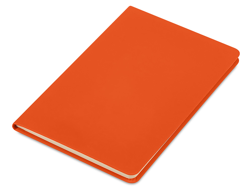 Блокнот в твердой обложке A5 Виспи 2.0 в клетку, оранжевый-0