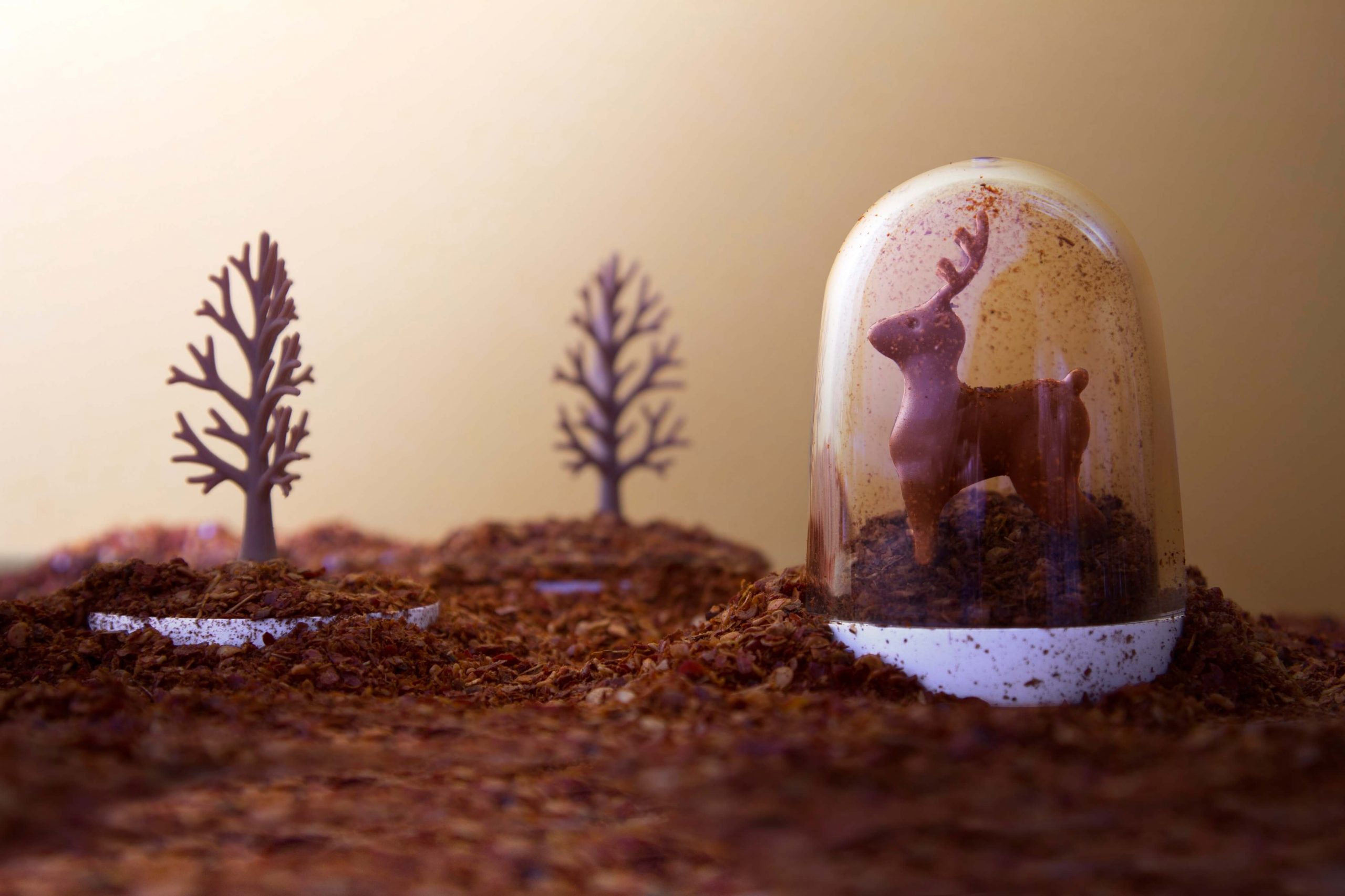 Ёмкости для специй в наборе Animal Parade, Белый-1