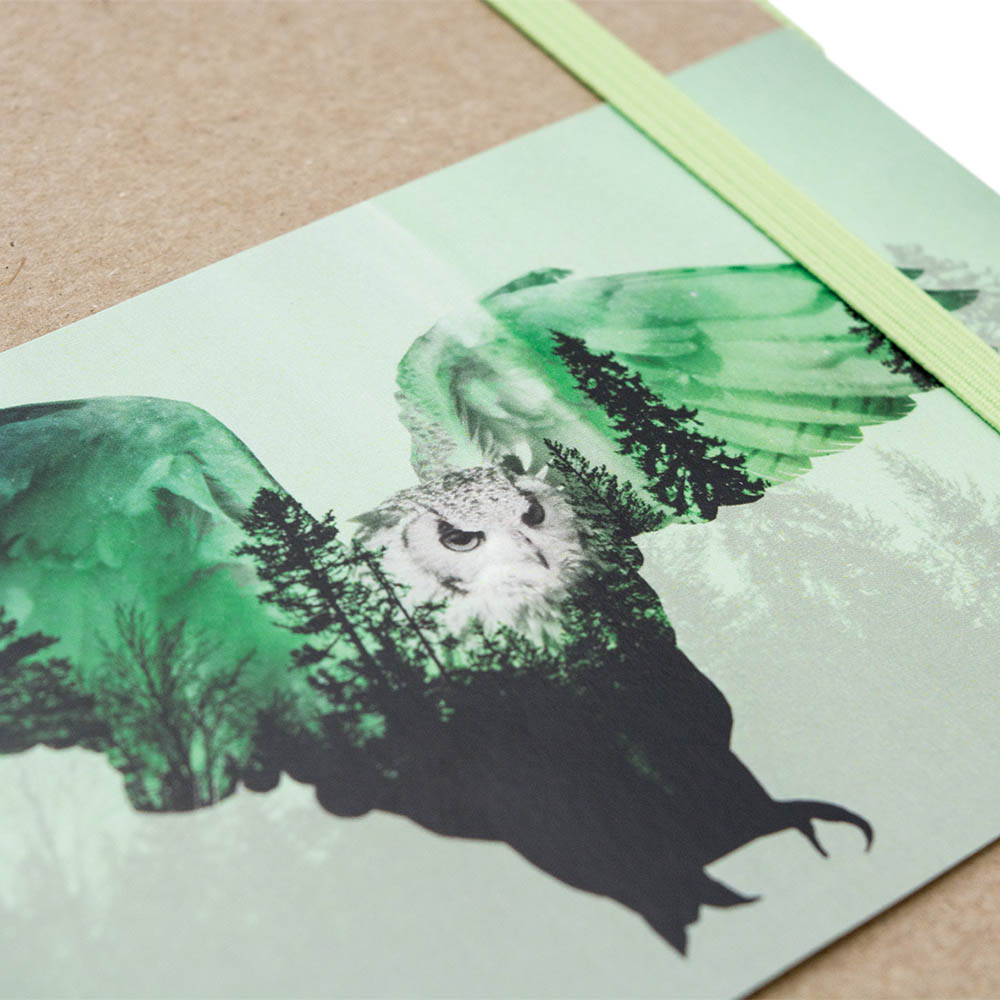 Скетчбук (Сова), Бежевый/зелёный-1