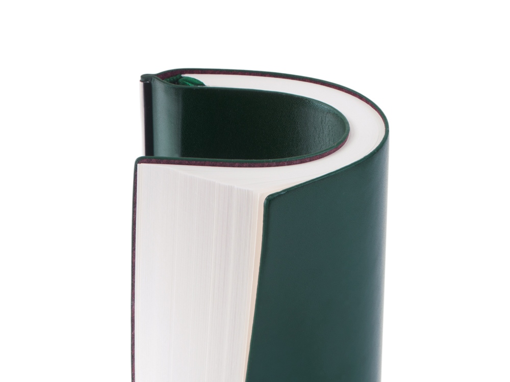 Блокнот А5 Scribe, гибкая обложка, 96 листов 80 гр/м2, зеленый-6