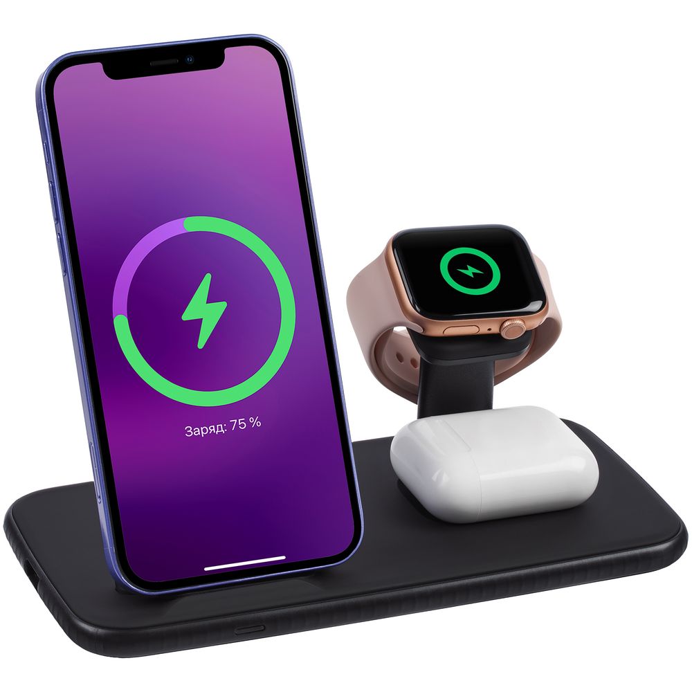 Зарядная станция Smart Nest, черная-1