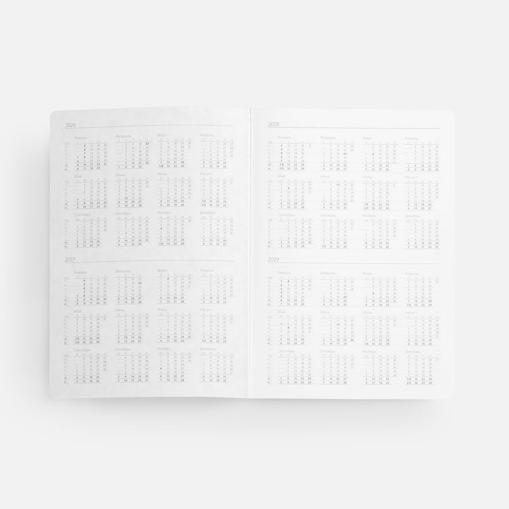 Ежедневник Nebraska Flex, недатированный, белый с серебристым-4