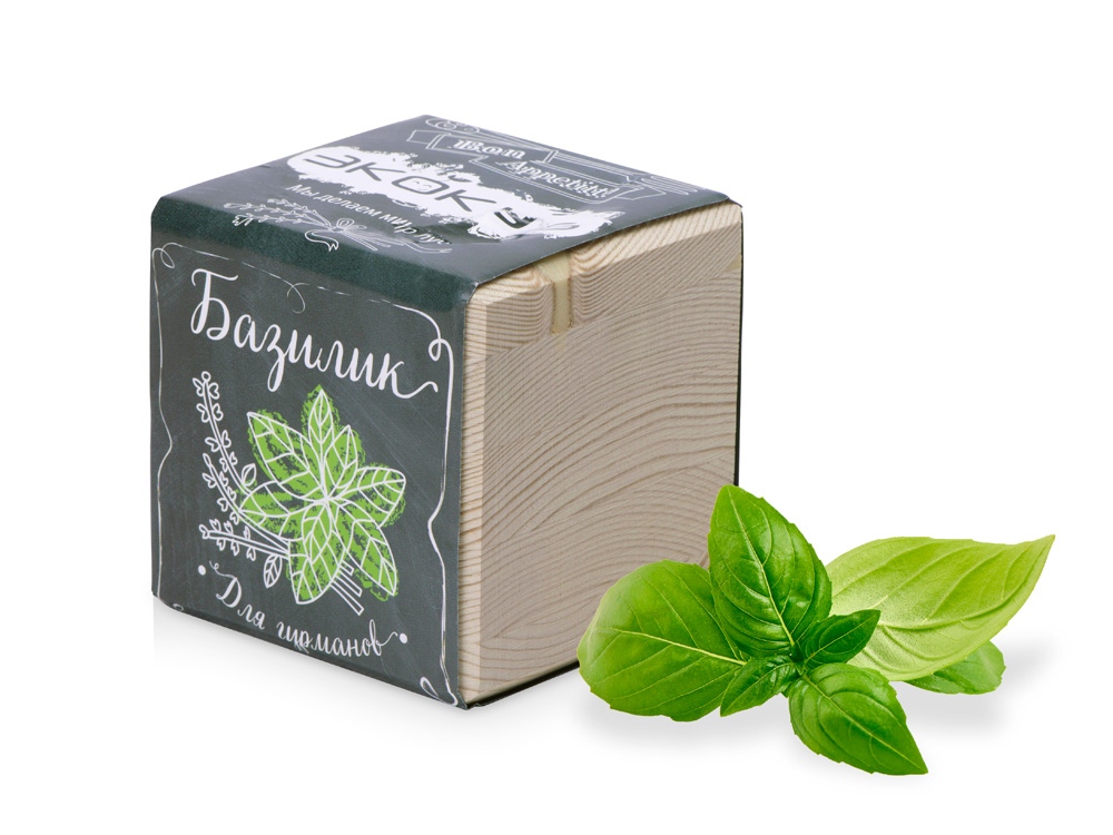 Набор для выращивания Экокуб Classic Базилик-0