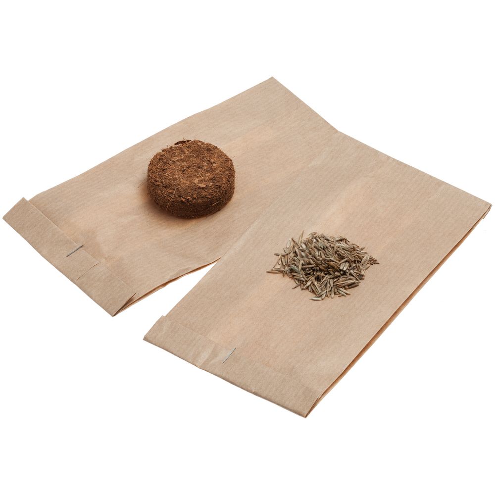 Набор для выращивания Funky Headman-3