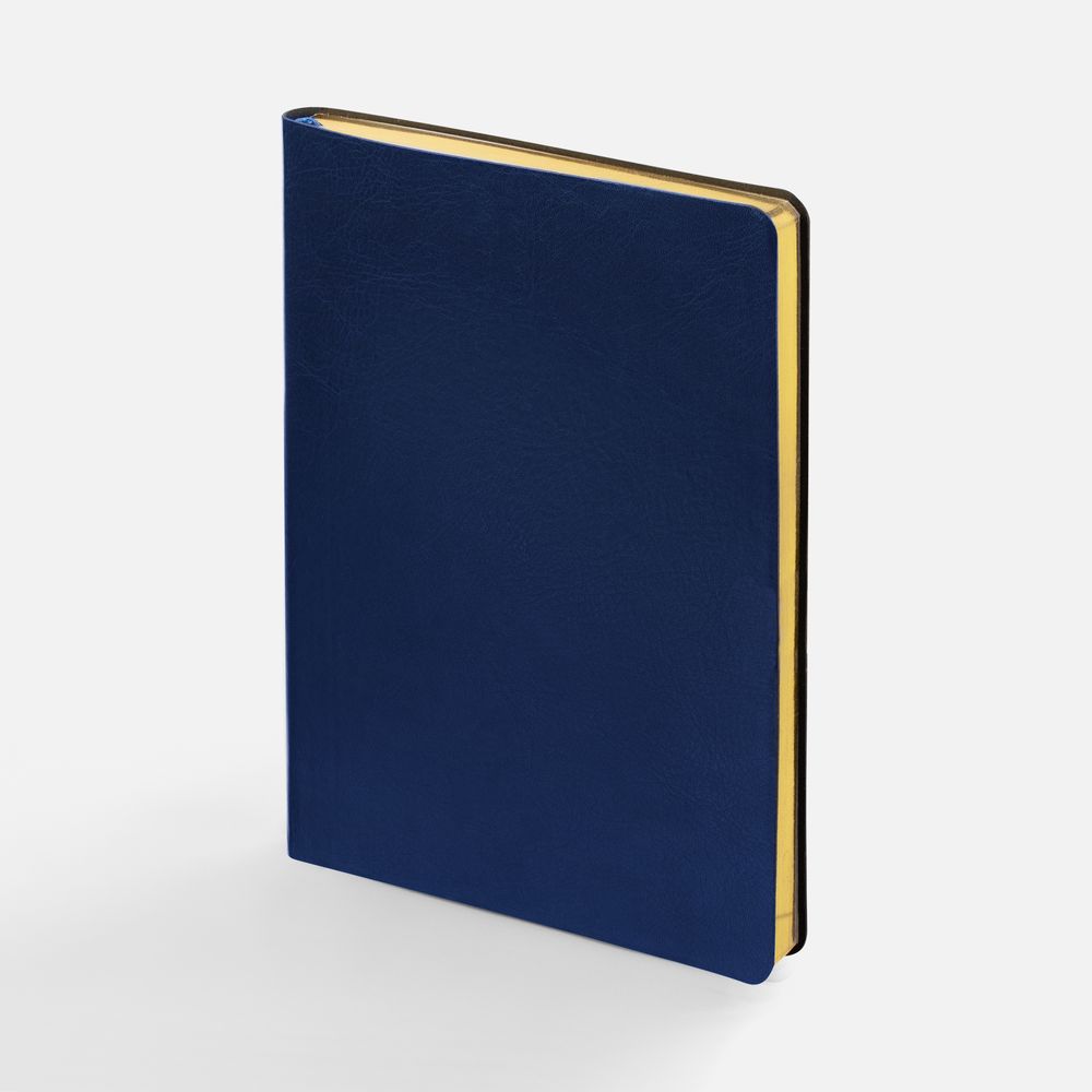 Ежедневник Nebraska Flex, недатированный, синий с золотистым-1