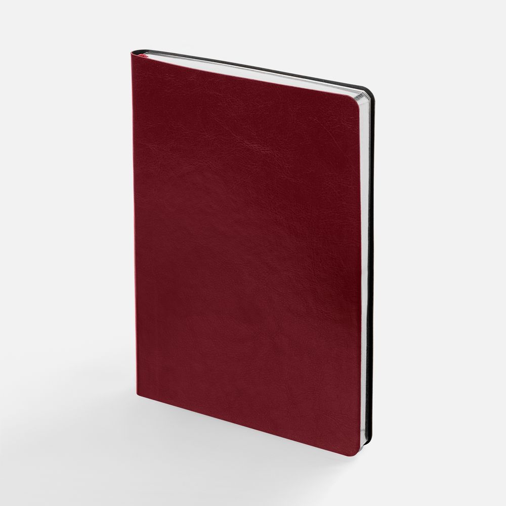 Ежедневник Nebraska Flex, недатированный, бордовый с серебристым-0