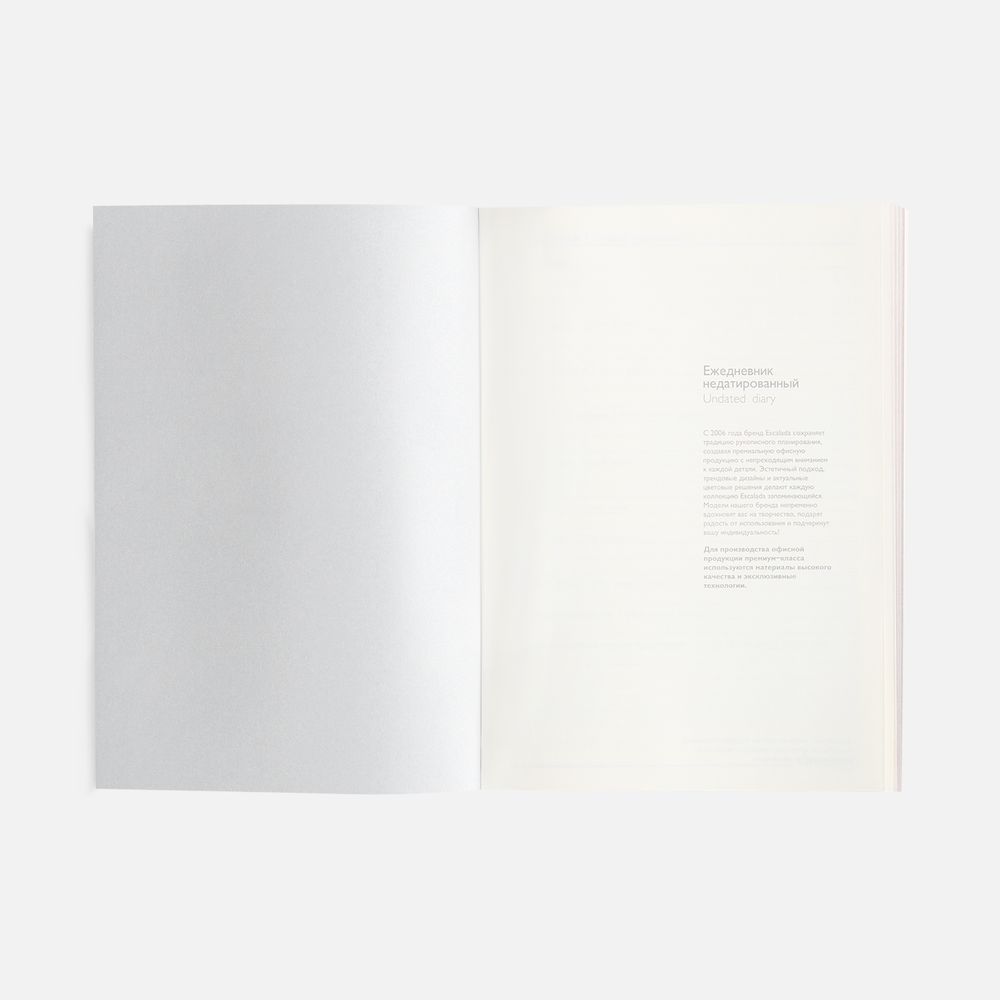 Ежедневник Repute, недатированный, серый-4