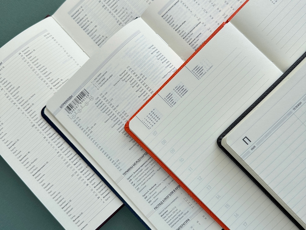 Ежедневник недатированный А5 Loft, серый-8