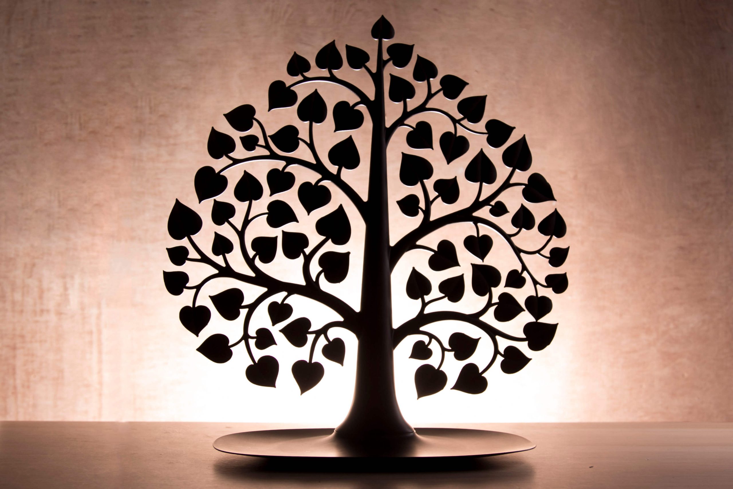 Декоративный органайзер для украшений Bodhi, Черный-0