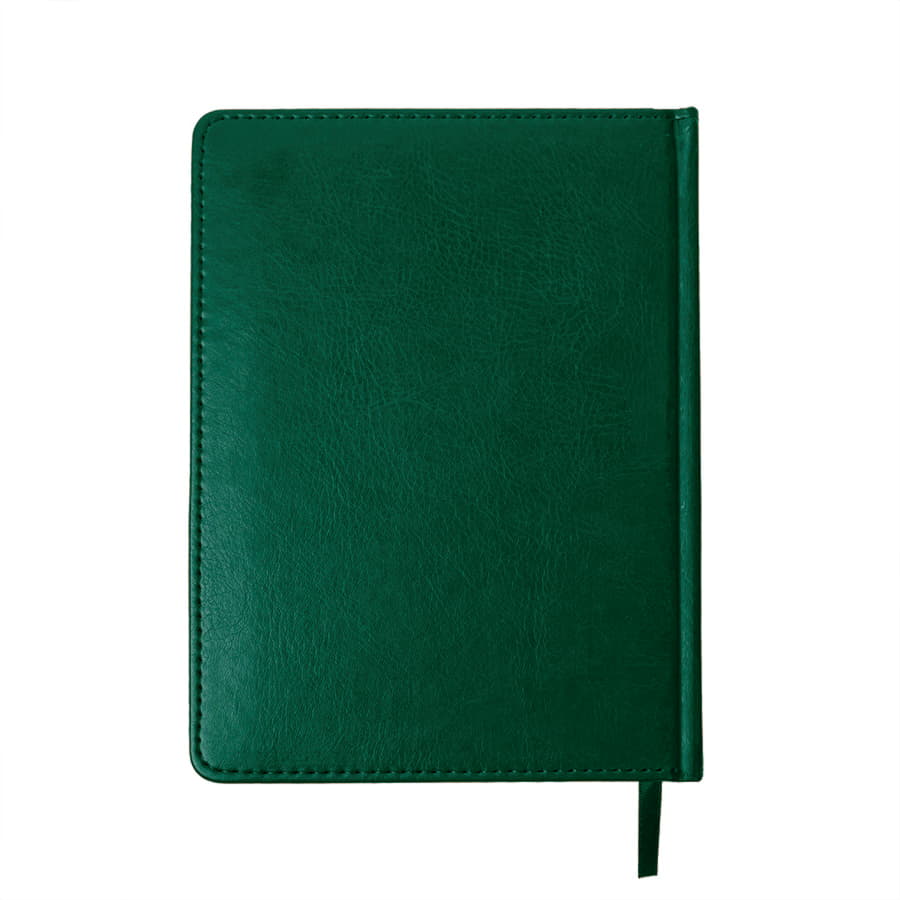 Ежедневник недатированный Joy, формат А5, в линейку, темно-зелёный-2