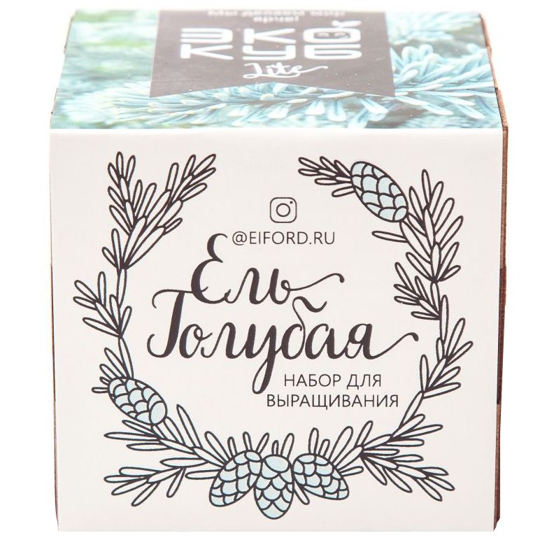 Набор для выращивания «Экокуб Lite», ель голубая-1