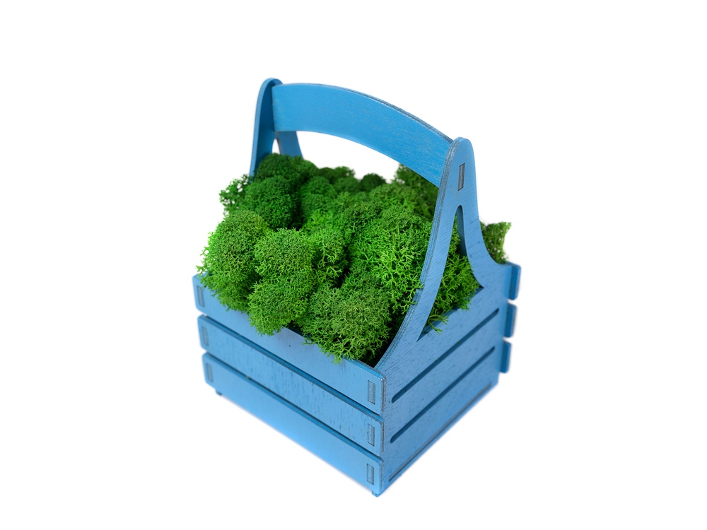 Композиция Корзинка со мхом, синий-3