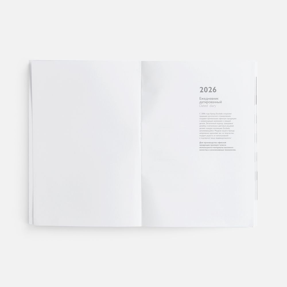 Ежедневник Baza, датированный, синий-3