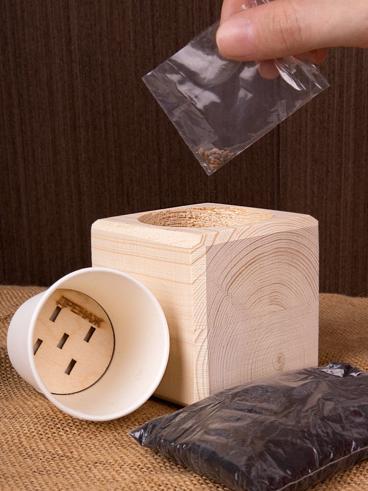 Набор для выращивания «Экокуб», сосна-3