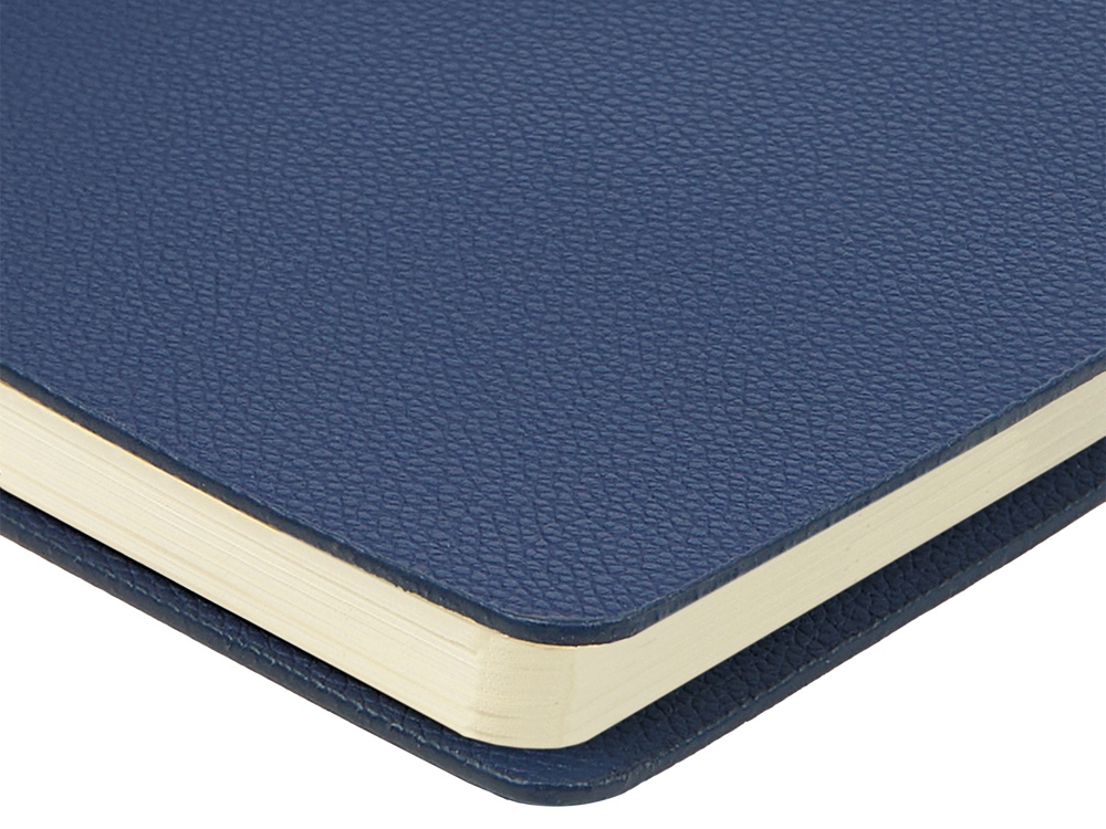 Ежедневник недатированный А5 Alba, синий-5