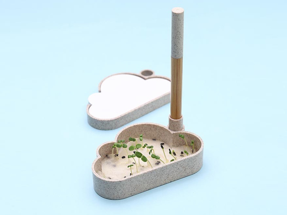 Набор для записей с семенами ромашки Patio-1