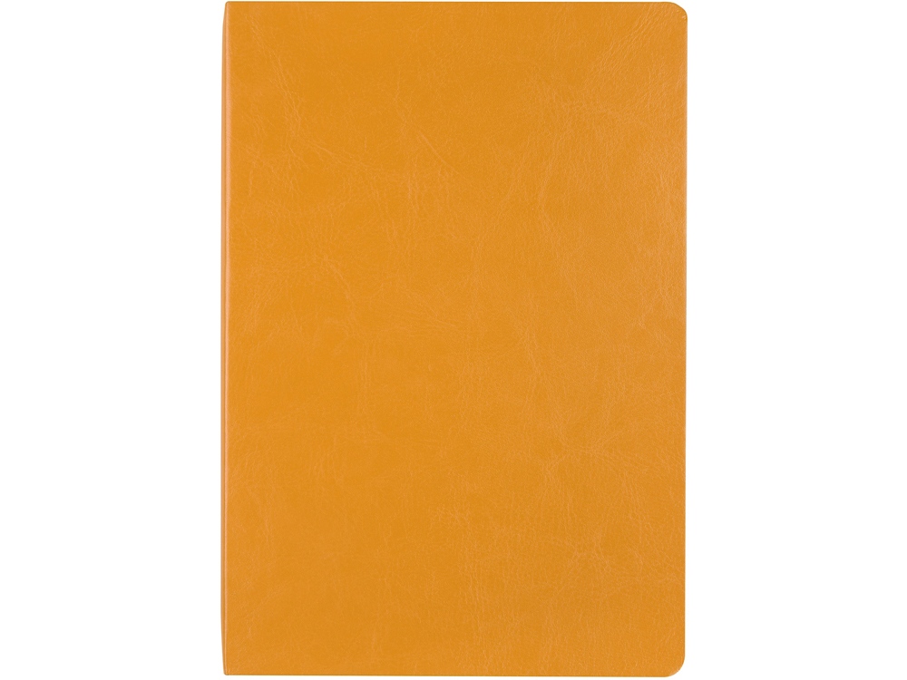 Ежедневник недатированный А5 Megapolis Nebraska Flex, оранжевый с золотым обрезом-1
