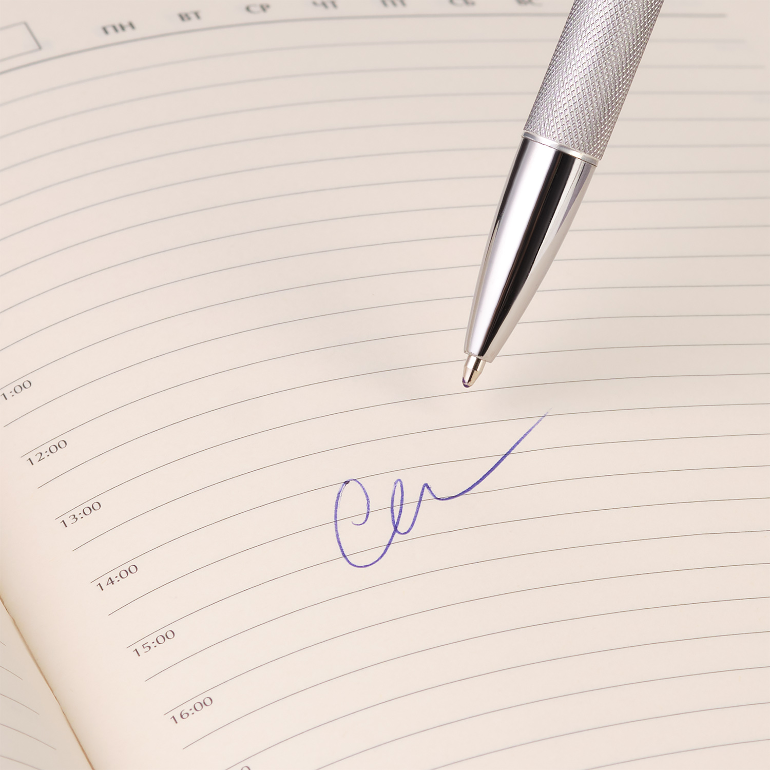 Шариковая ручка Леви (Levi), серая-3