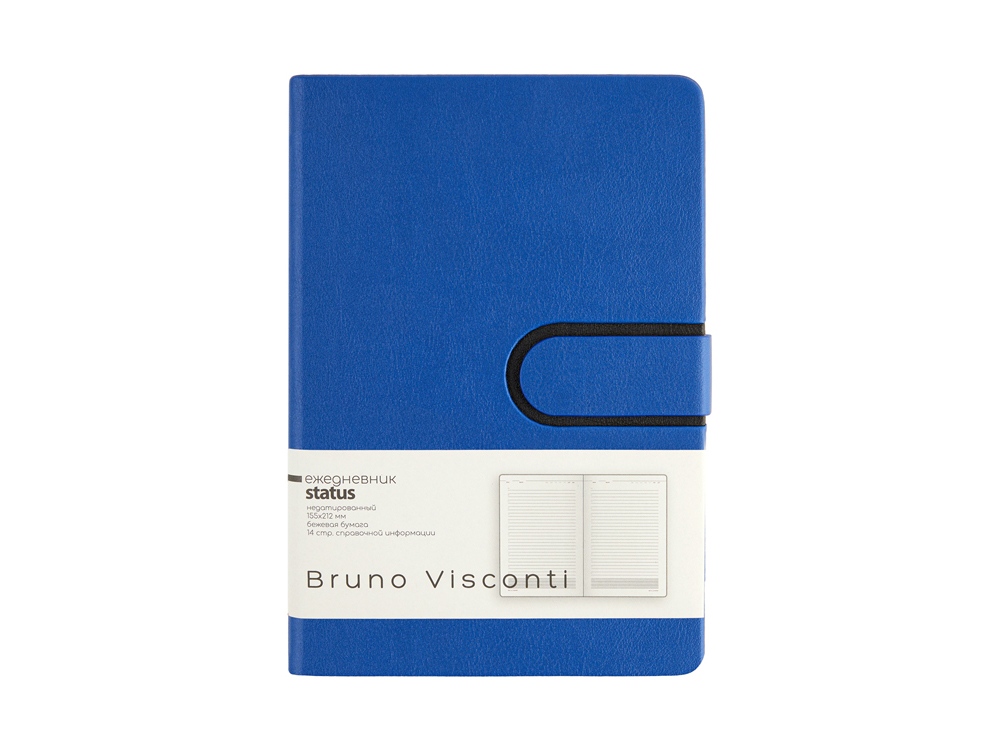 Ежедневник недатированный А5 Status, синий-1